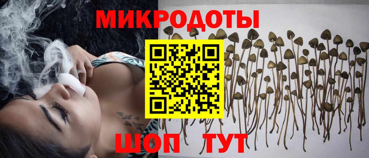 Галлюциногенные грибы Psilocybe  Вход с VPN  где купить   Балахна 